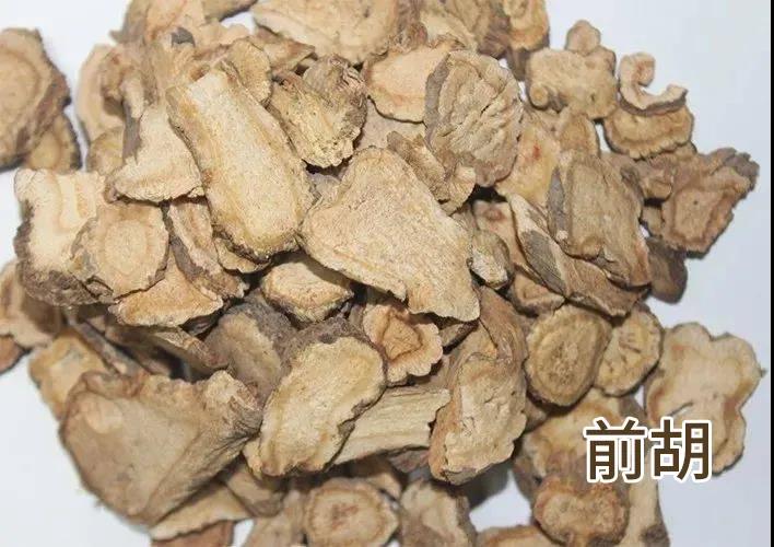 每天学一味中药前胡,中医小课堂前胡的功效与作用