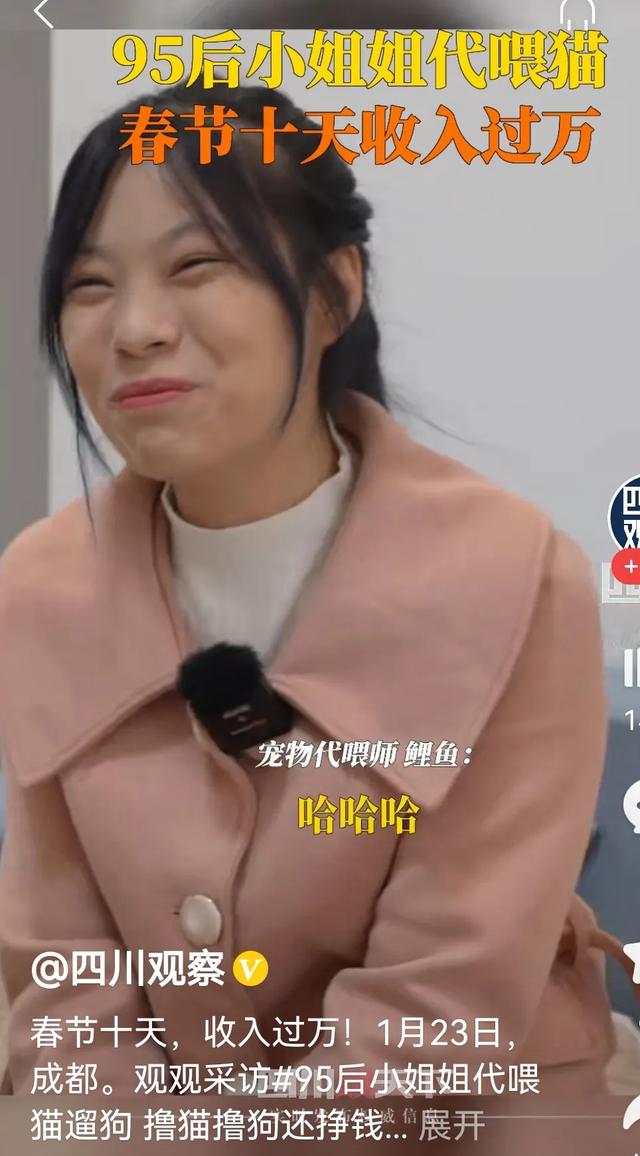 帮喂猫月薪过万,代喂宠物兼职平台