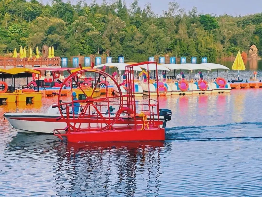 2019年厦门秋游,厦门高中秋游