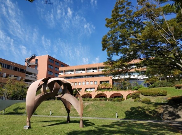 日本旧帝国大学在国内认可度,帝国大学日本