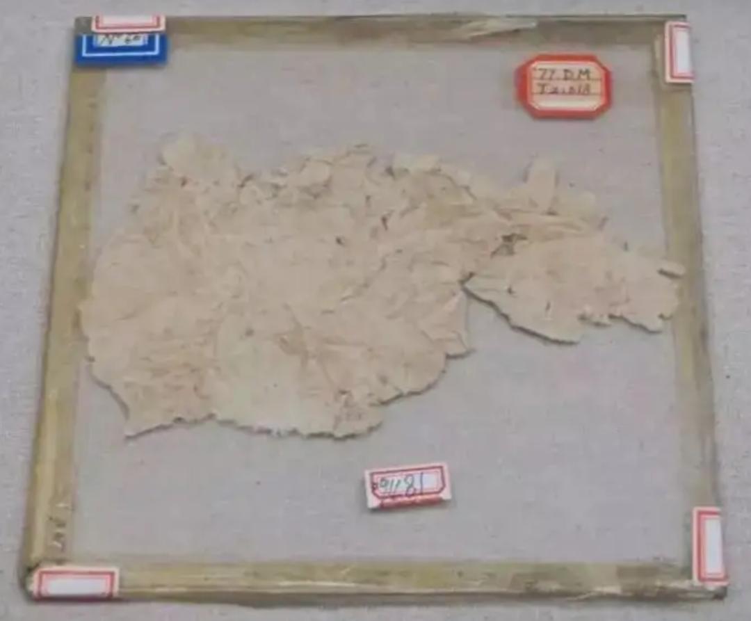 蔡伦发明的纸促进了人类的什么,纸是东汉蔡伦造的吗