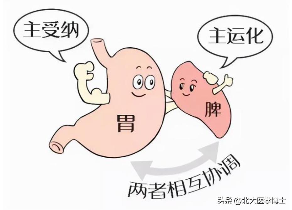 清阳不升经方治疗,肾结石中医排石治疗方案