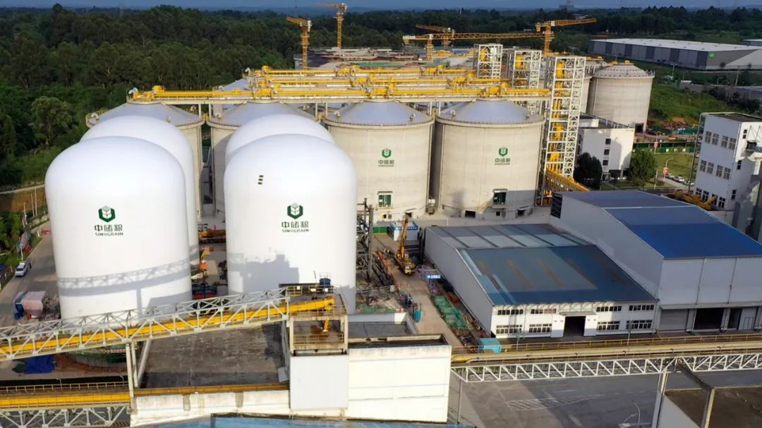 粮食气膜仓正式投运,“吹起来”的粮食气膜仓