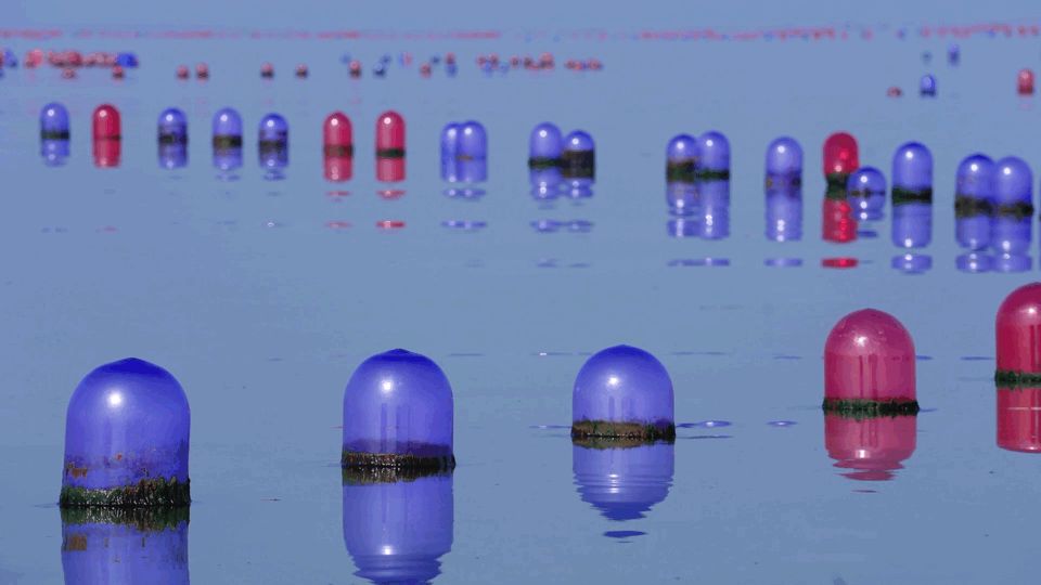 这座不起眼的山东小城，搞生蚝能有多猛？