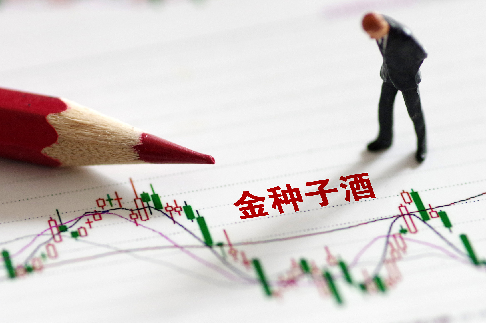 金种子酒上半年业绩,金种子酒去年市值蒸发逾50亿