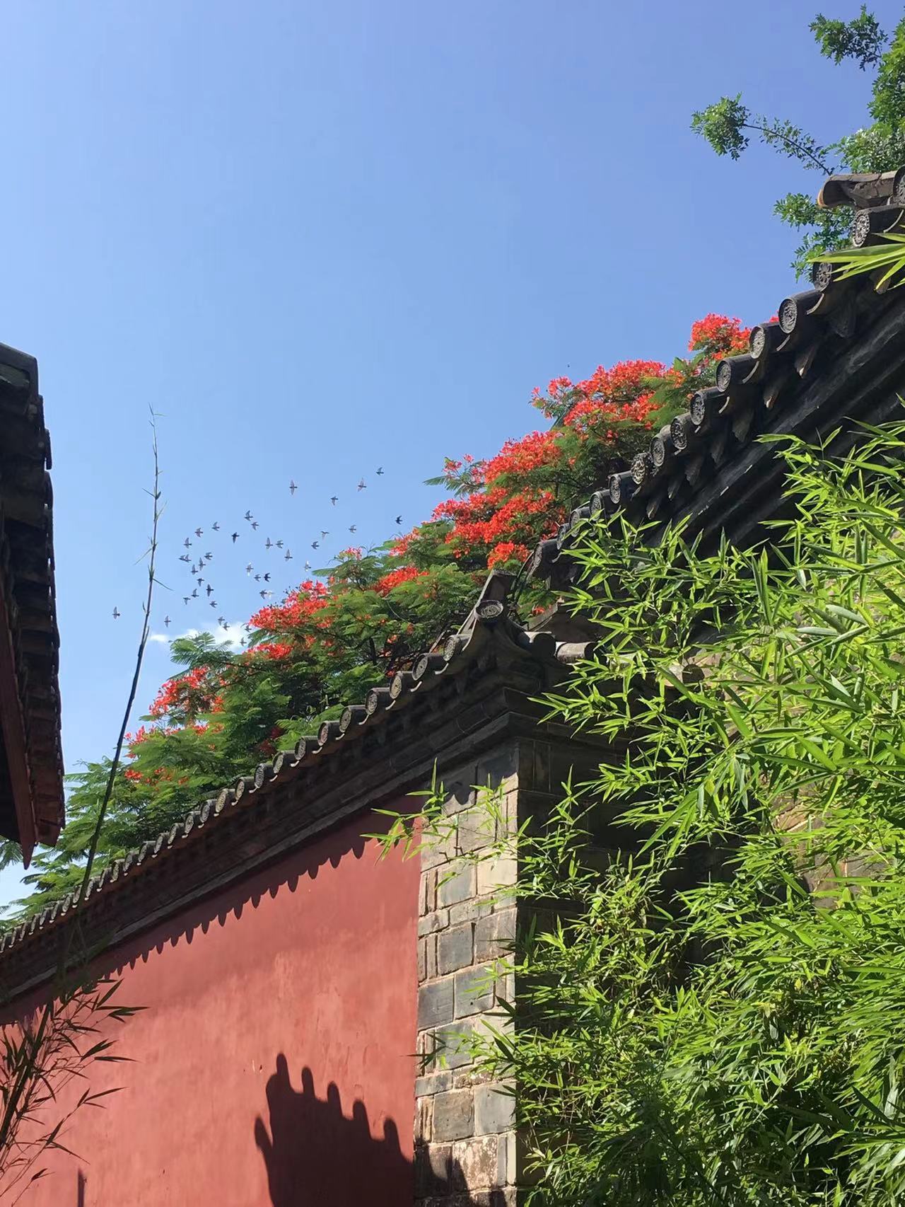 走过*疆新**、内蒙、*藏西**,才知道云南旅游是老天爷赏饭吃了