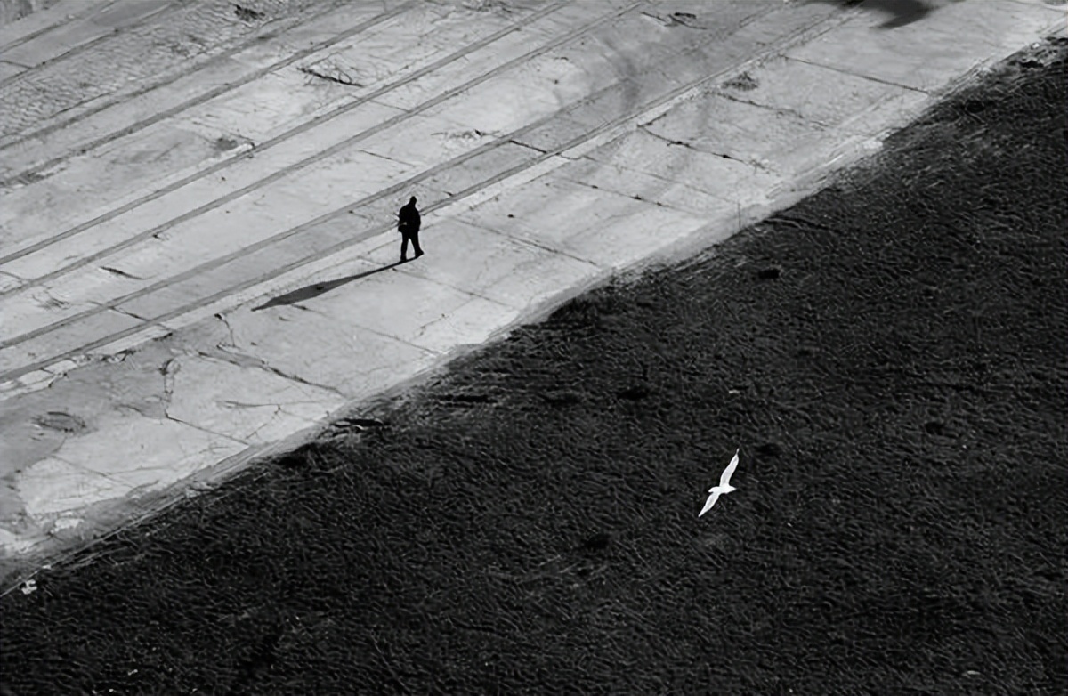 心上有个人才能活下去贾平凹,贾平凹心里有个人才能活下去图片