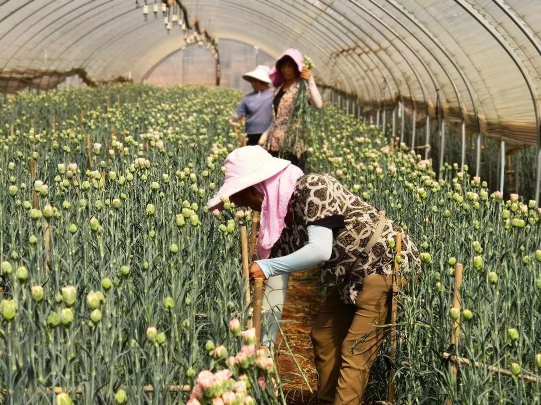 开远市经济发展,开远经济现状如何