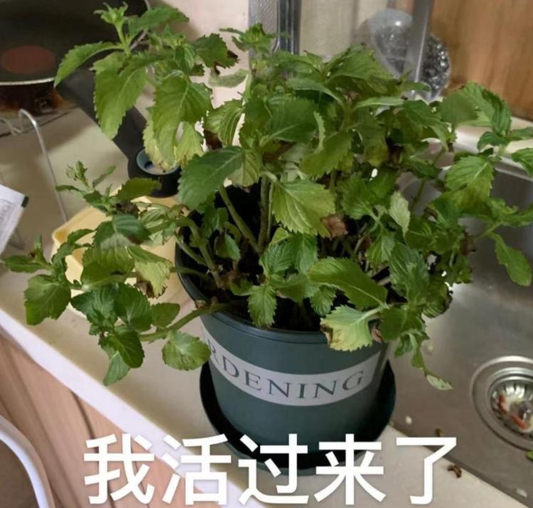 西安带孩子爬山哪里最合适,西安周边爬山一日游的绝佳去处