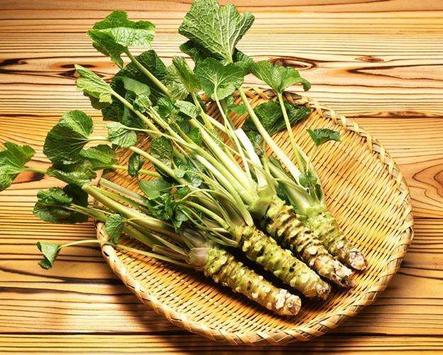 正宗芥末是黑色的吗,市场上的芥末是真的芥末