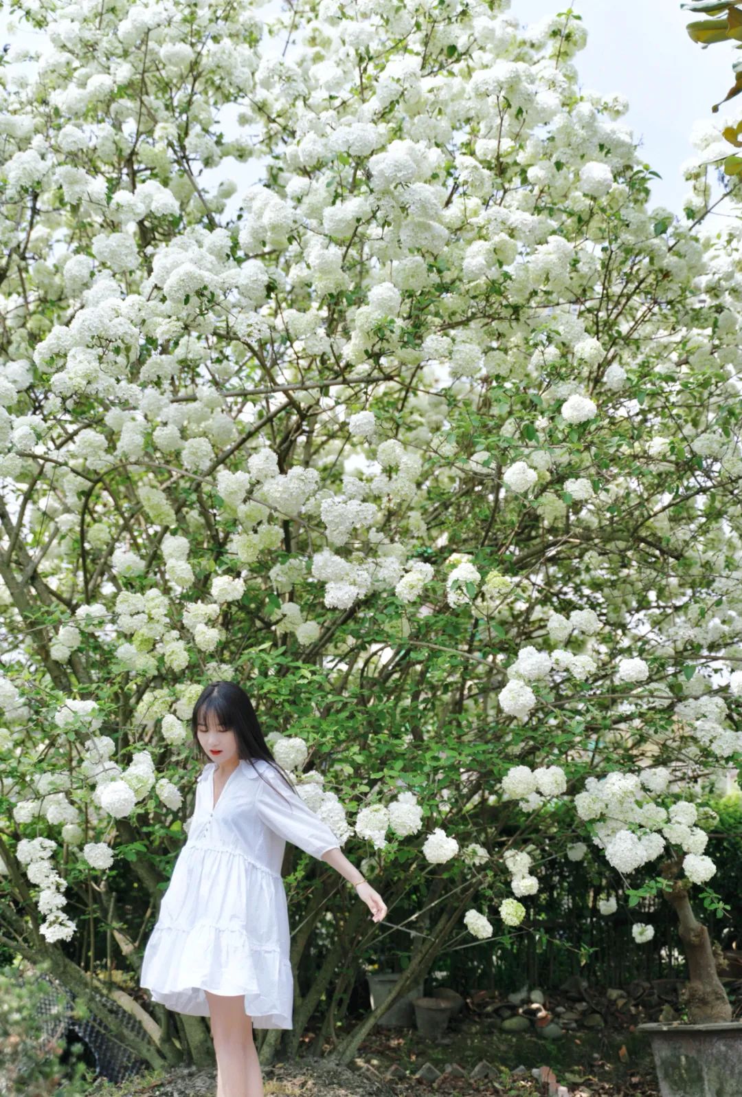 提前盛开！成都市区这个被偏爱的宝藏地又上新，即将刷爆全网