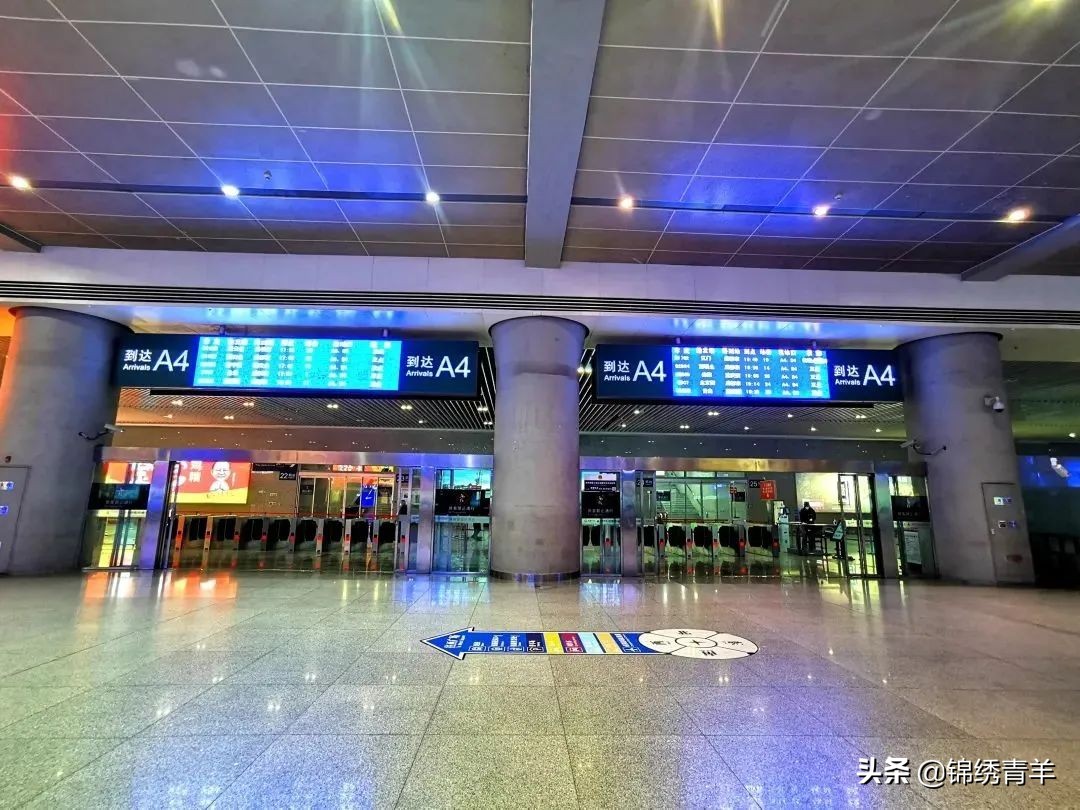 五一离蓉出川,五一离蓉返蓉最新政策