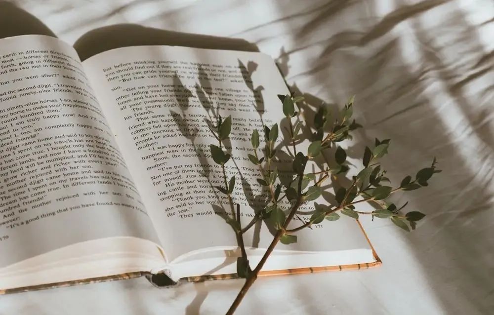 庄绎传|英译汉,理解是关键