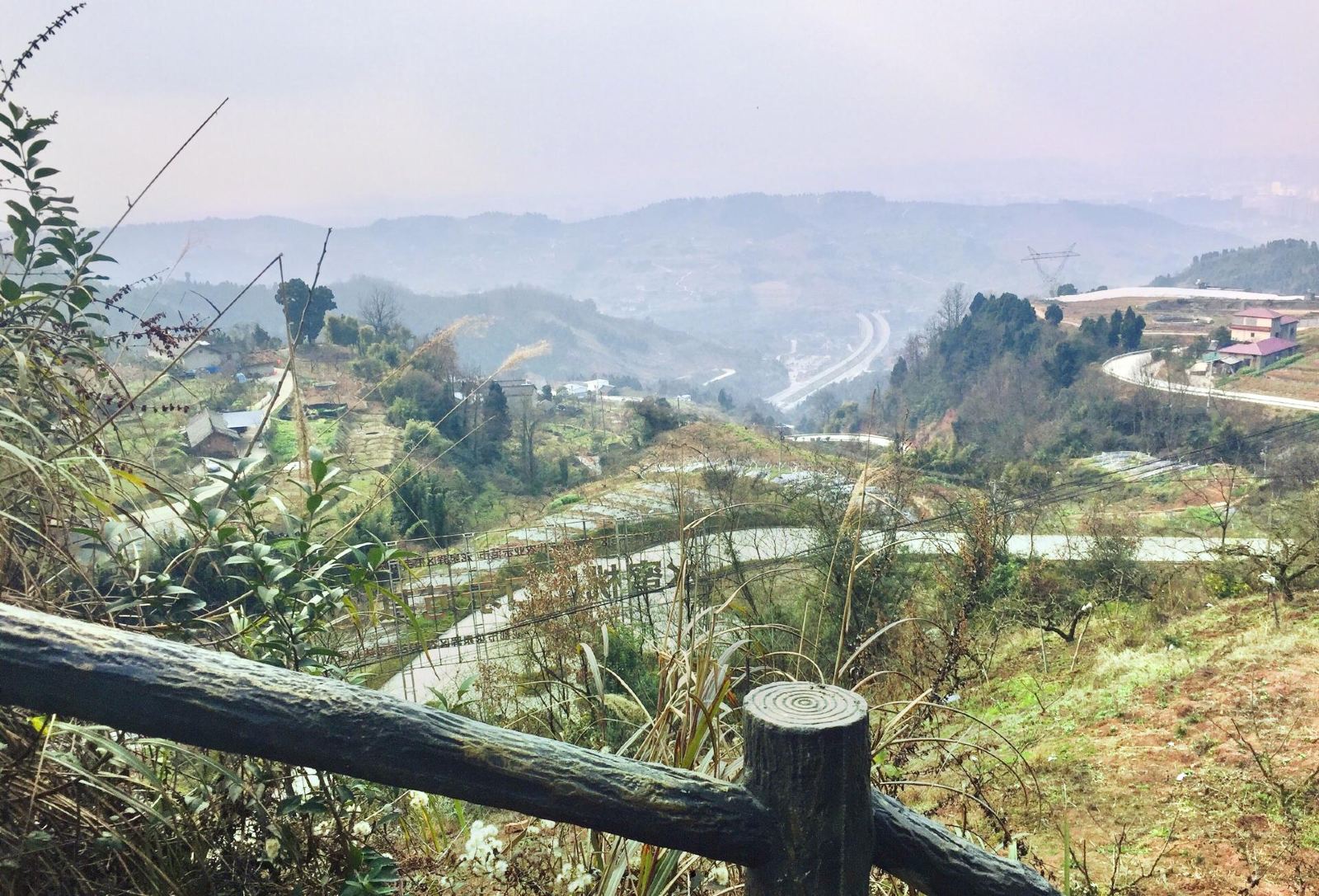 成都周边春季赏花景点推荐,成都赏花景点推荐一下