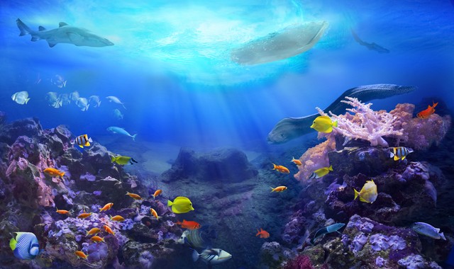 帕劳和哪个国家关系好,帕劳和中国哪个国家好