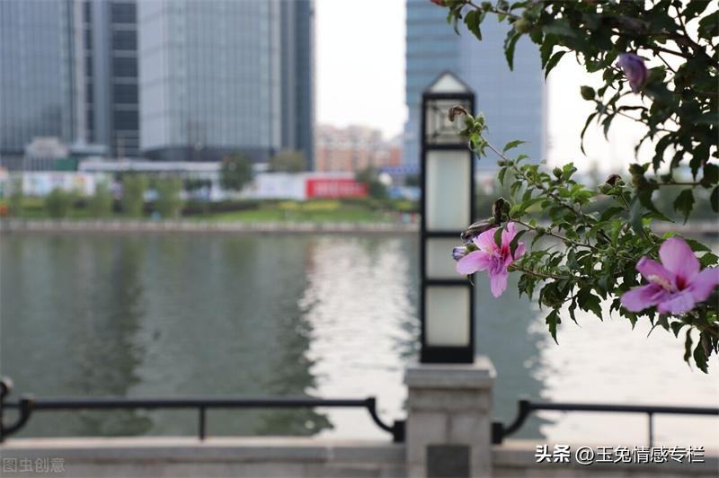 和交际男舞伴去旅游，仅1天就散伙，63岁阿姨哭诉：知己变成仇人