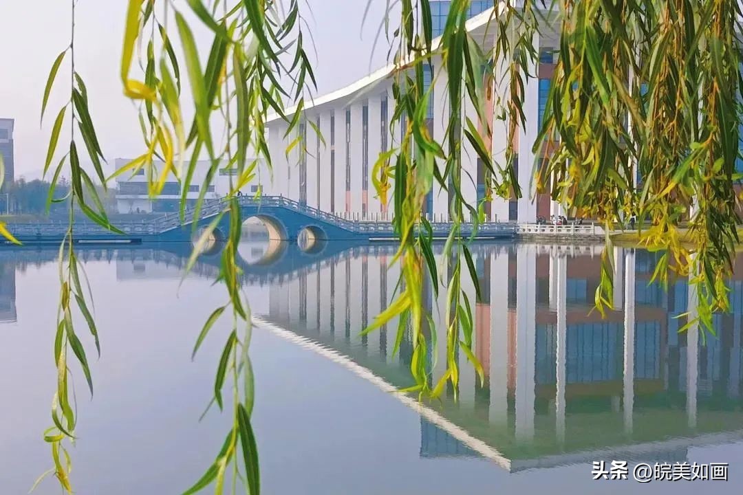 安徽大学好看的风景,高校最美秋景