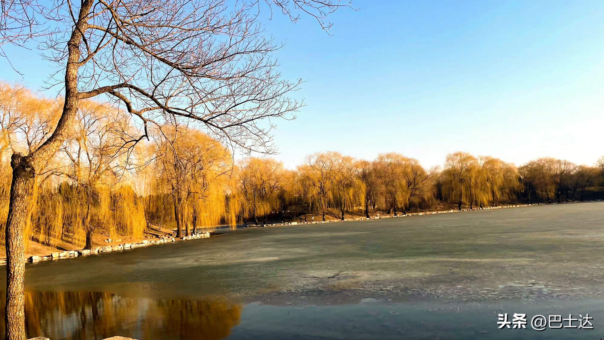 圆明园老年人门票预约,圆明园门票多少元入场