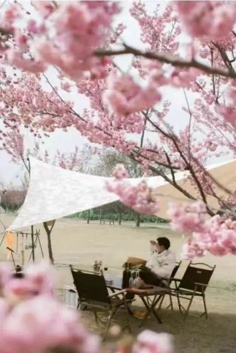 成都免费露营地推荐过夜,成都周边露营地推荐自驾