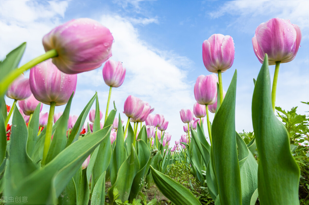 变美的小细节解析,变美4个部位
