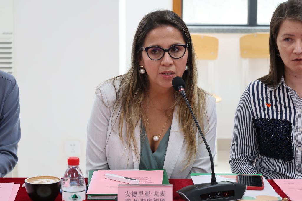 哥伦比亚代表团访问,哥伦比亚访问团