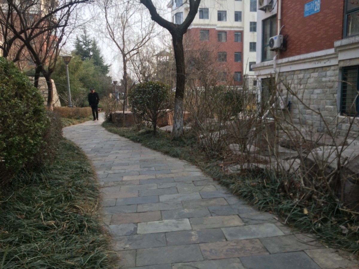 乳山银滩盛世滩租房信息,乳山银滩哪个小区租房好