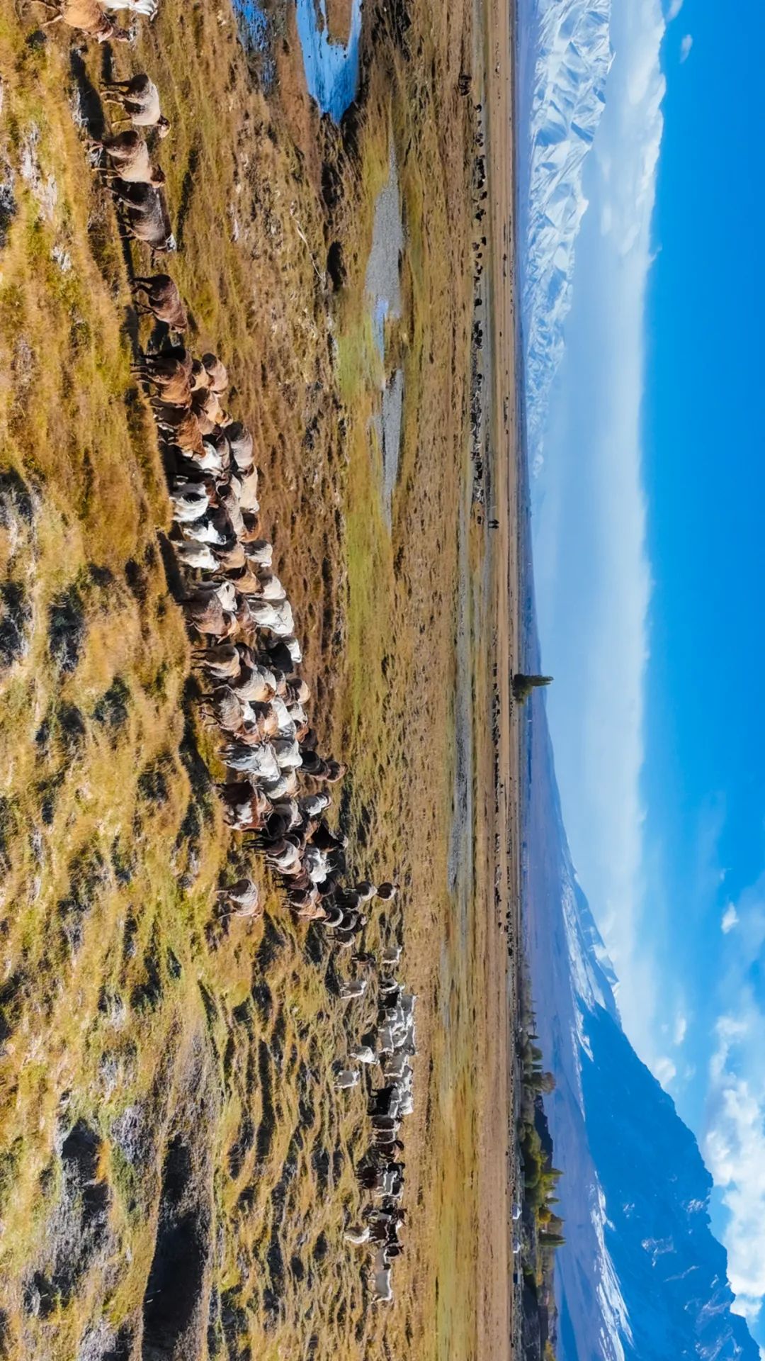 记录旅游足迹新疆塔什库尔干,新疆旅行的小众秘境塔什库尔干