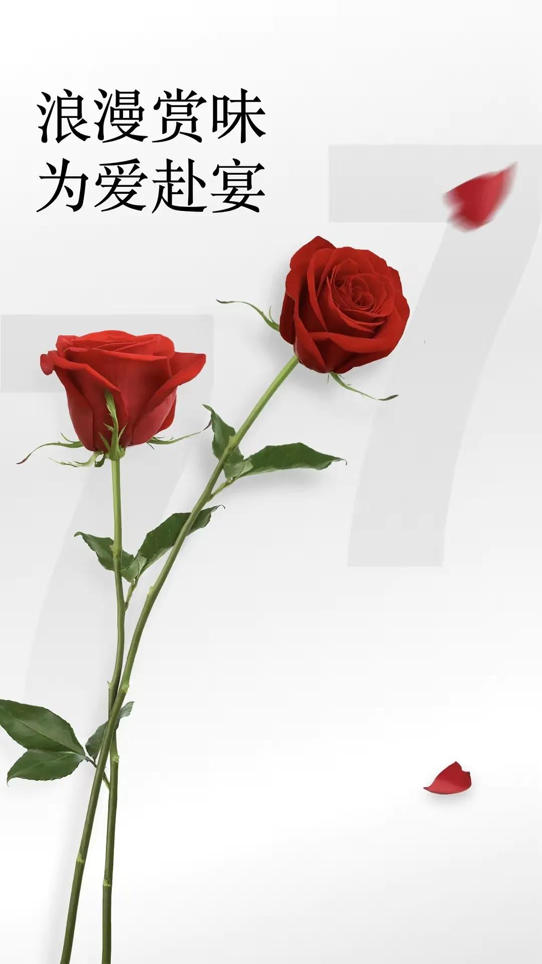 七夕情人节唯美图片大全,七夕情人节图片唯美大图