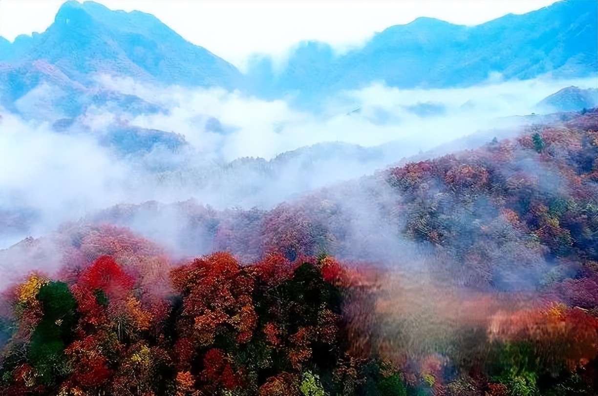 描写深秋景色优美的诗句,描写深秋优美句子古诗