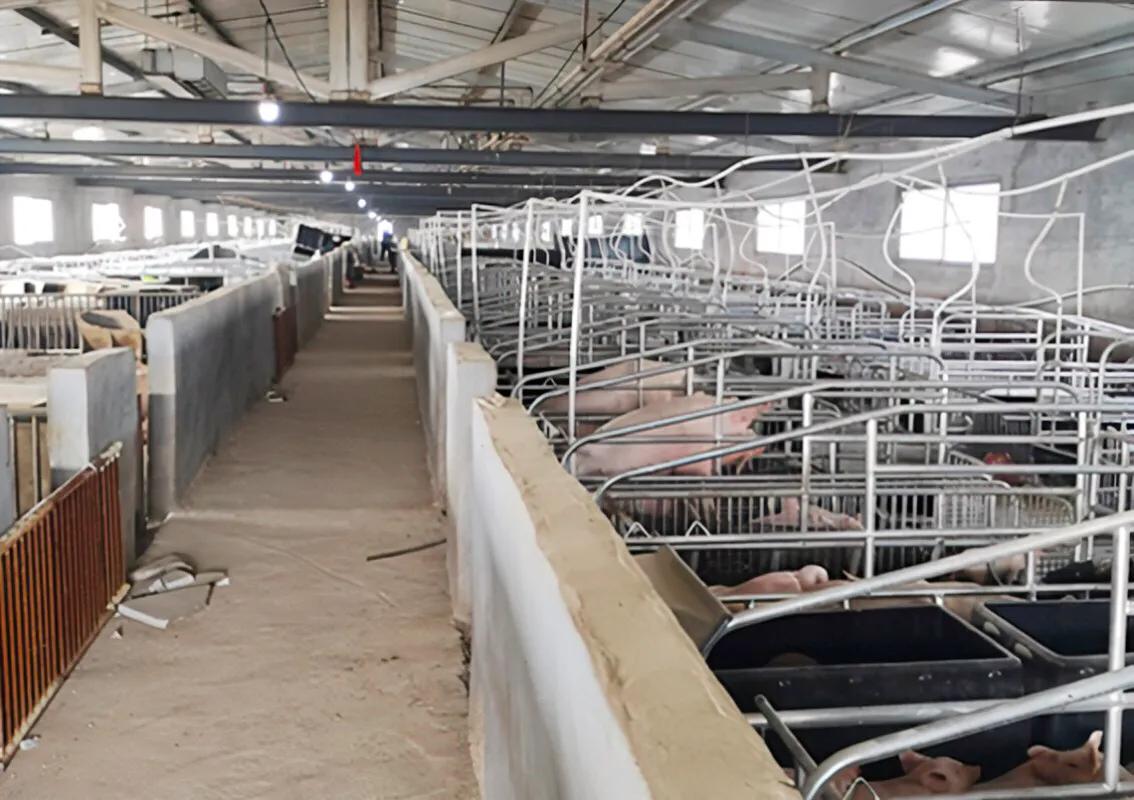 学兽医研究生就业前景,学兽医有出路吗一般兽医月薪多少