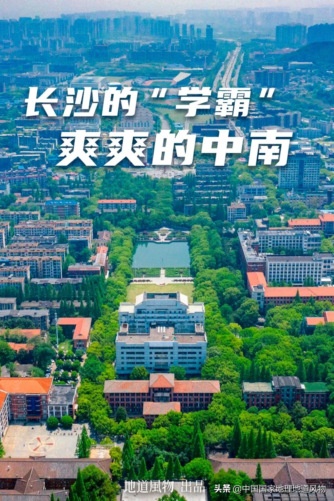 中南财经大学和中南大学法学对比,中南大学哪个系最强