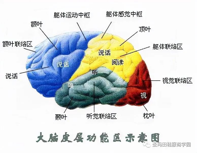 如何提升计算机硬件水平,计算机升级操作有哪些方法