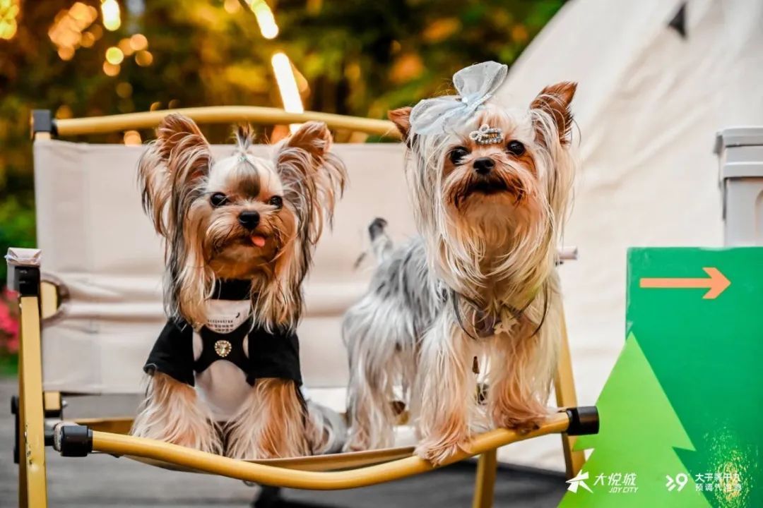 和大悦城成为朋友，7年的时间够不够？