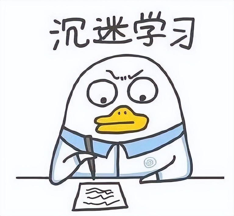 华法“后浪”有话要讲（一）