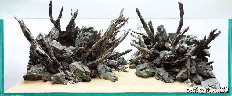 1.8米长水陆缸与草缸结合,组合式草缸