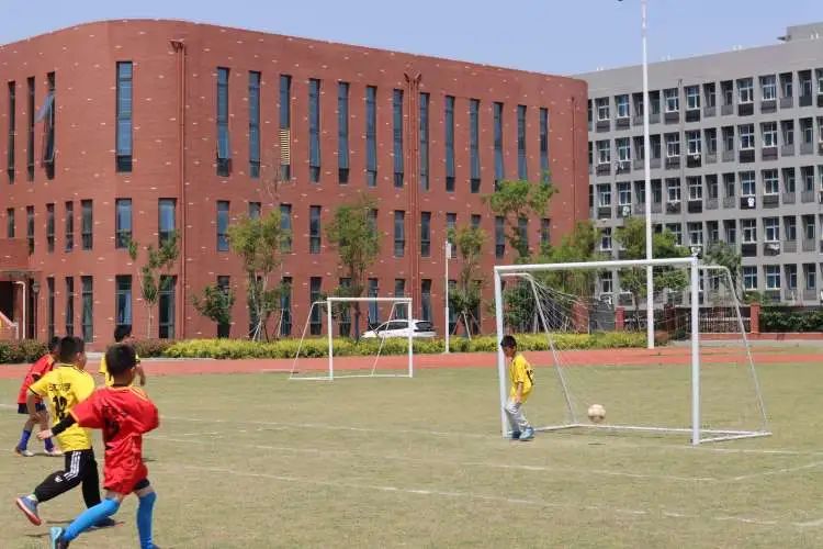 绿茵点燃梦想足球彰显青春,足球点燃梦想激情挥洒青春