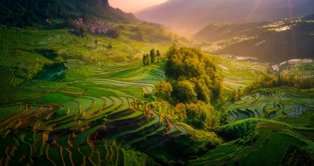 一篇文章吸粉500,一篇文章涨粉100会判违规吗