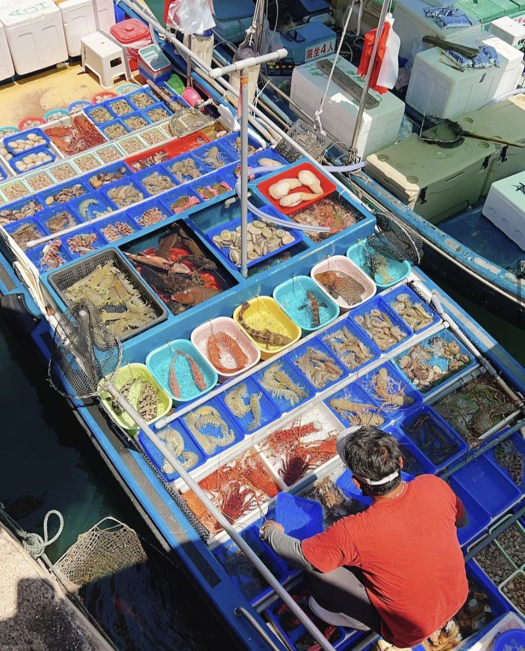 香港新打卡点,2019香港限时打卡