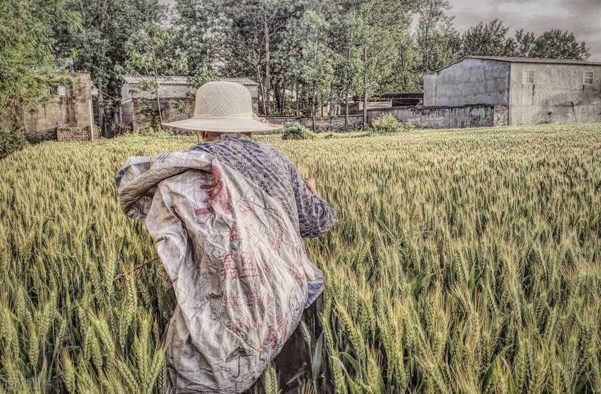 现在是家长太矫情还是孩子太娇气,女人不分年龄娇气且矫情让人烦