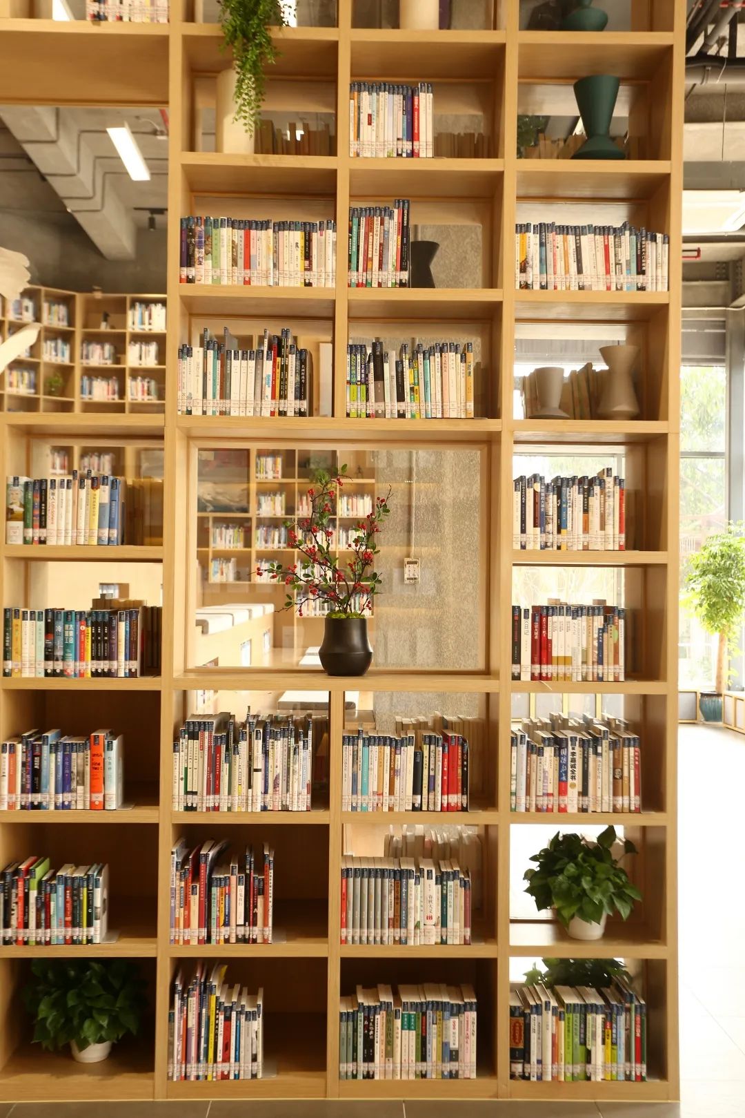 罗湖好玩拍照打卡地方推荐,罗湖游玩地点打卡攻略