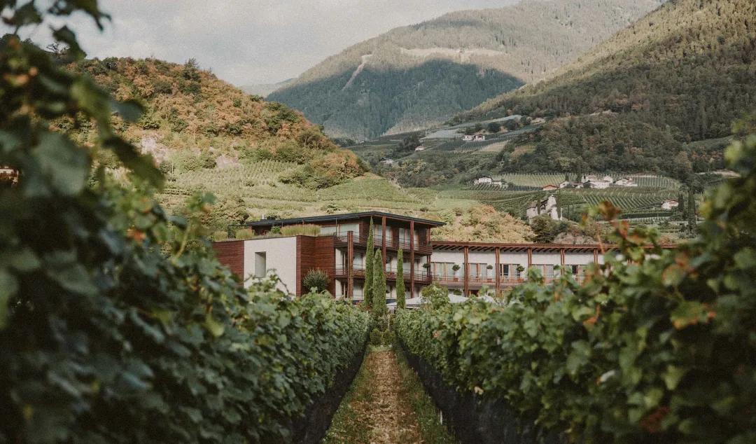 HotelSchwarzschmied在葡萄园城堡里感受度假的氛围