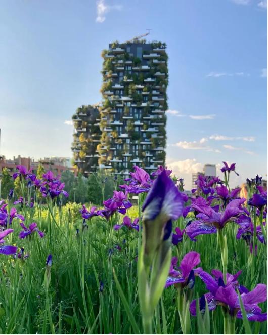 米兰机场线上精品店全攻略！带你尽享时尚之都DutyFree！