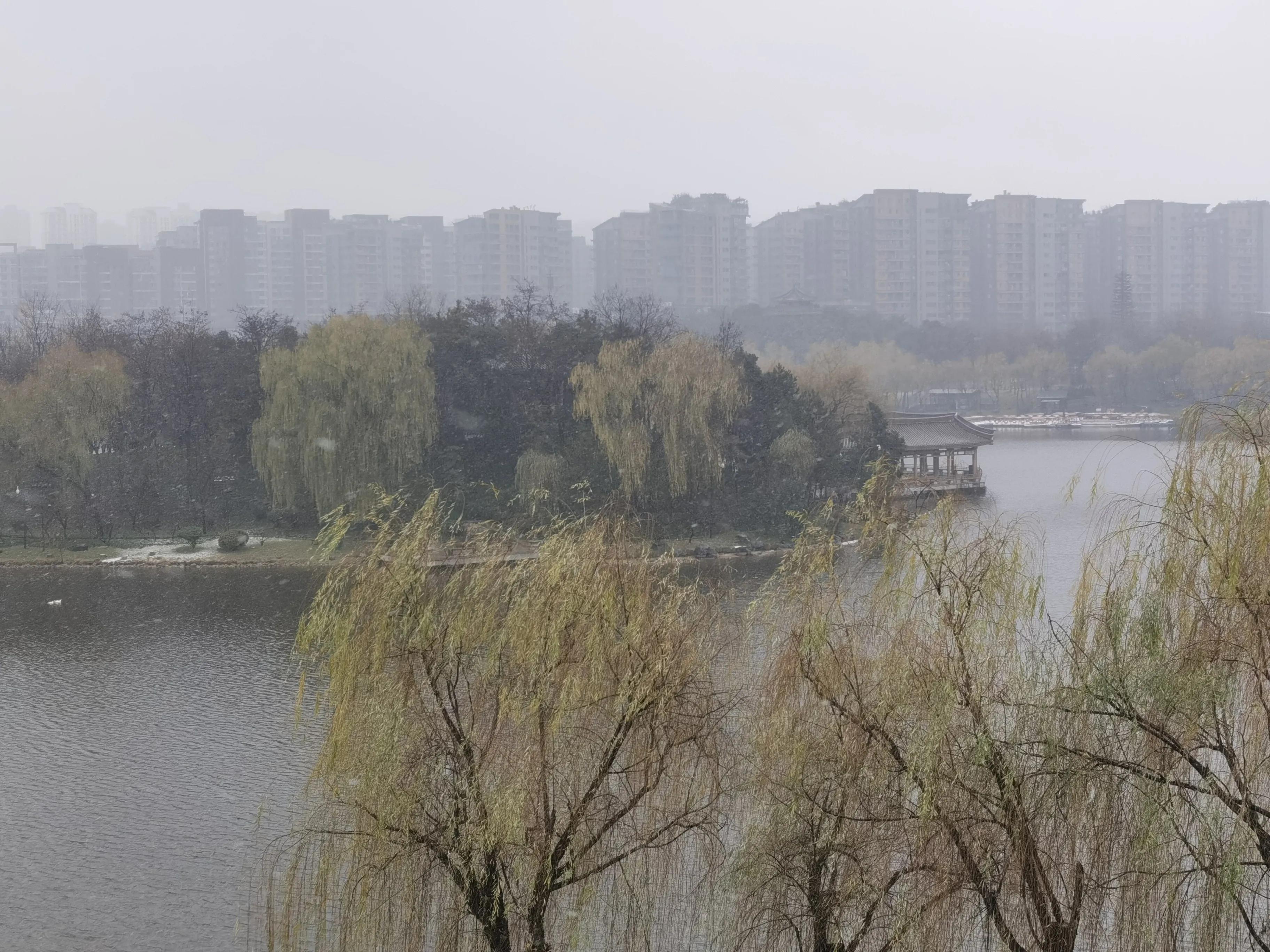 冬雪胖胖吖,冬雪诗句