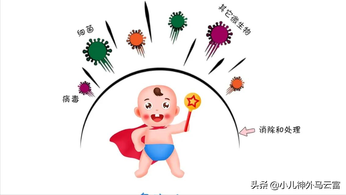 锌的食物有哪些儿童,锌通过什么食物食补