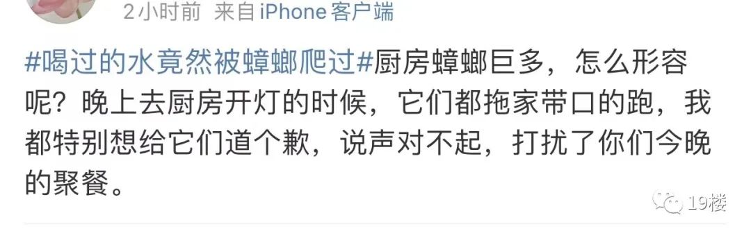 过敏原检测为蟑螂,过敏源是蟑螂过敏怎么办