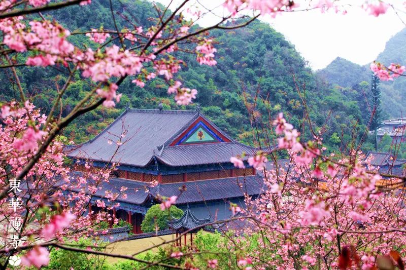 letsgo一周目攻略,letsgo图鉴攻略