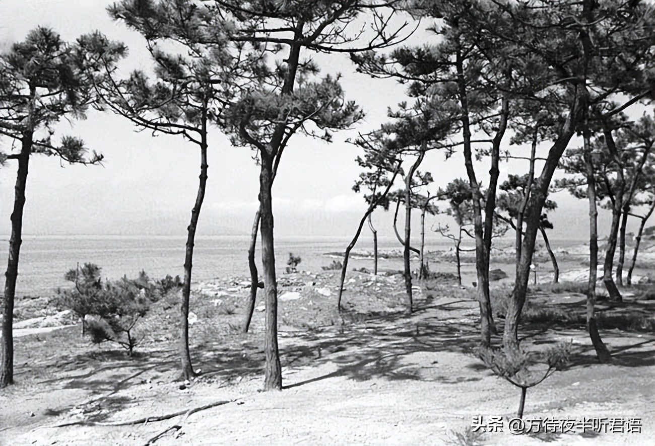 殊异之城：金石声穿过岁月的青岛留影