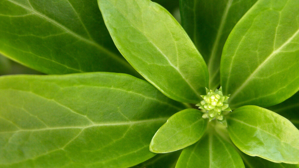 摩羯座真不是一般人能搞定的摩羯,千万别惹摩羯座的十大炸点