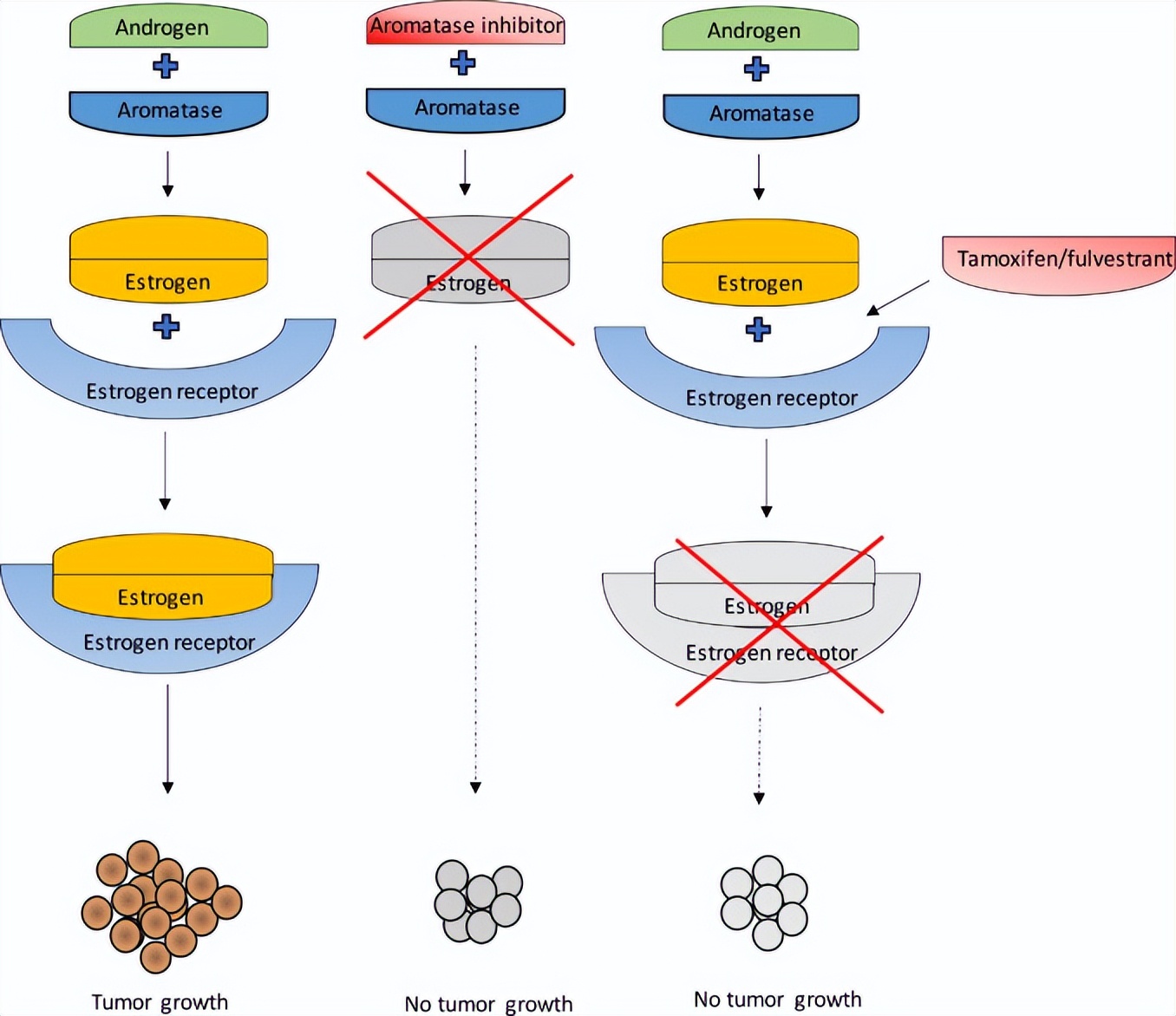 内分泌治疗和放疗能同时用么,内分泌治疗联合用药好还是单药好