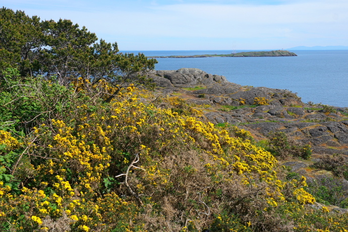 加拿大温哥华岛游记,温哥华维多利亚岛攻略